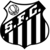 Escudo Santos